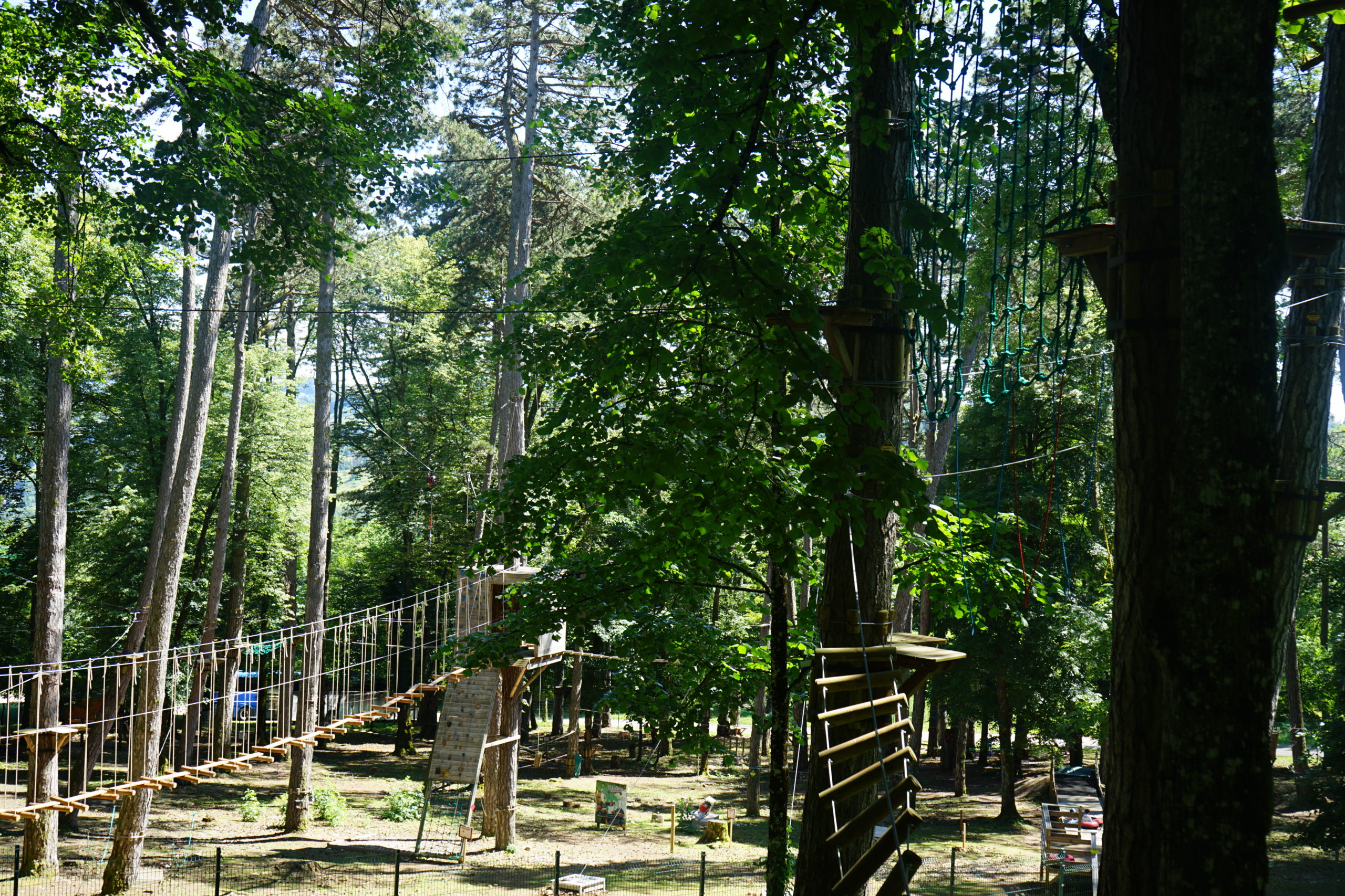 DSC00507